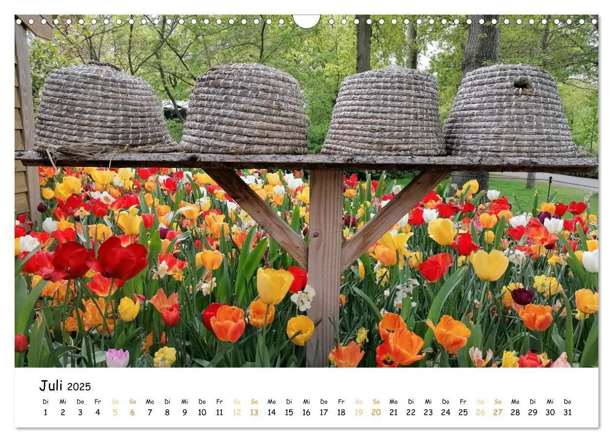 Bild: 9783383924354 | Auf Tour im Land der Tulpen (Wandkalender 2025 DIN A3 quer),...