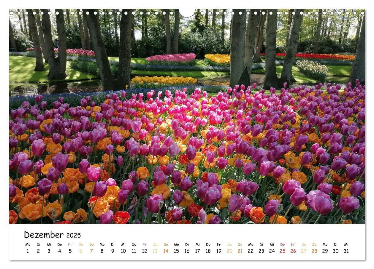 Bild: 9783383924354 | Auf Tour im Land der Tulpen (Wandkalender 2025 DIN A3 quer),...