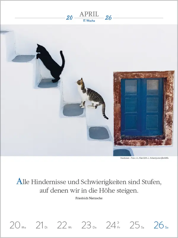 Bild: 9783731884354 | Literaturkalender Katzen 2026 | Verlag Korsch | Kalender | 54 S.