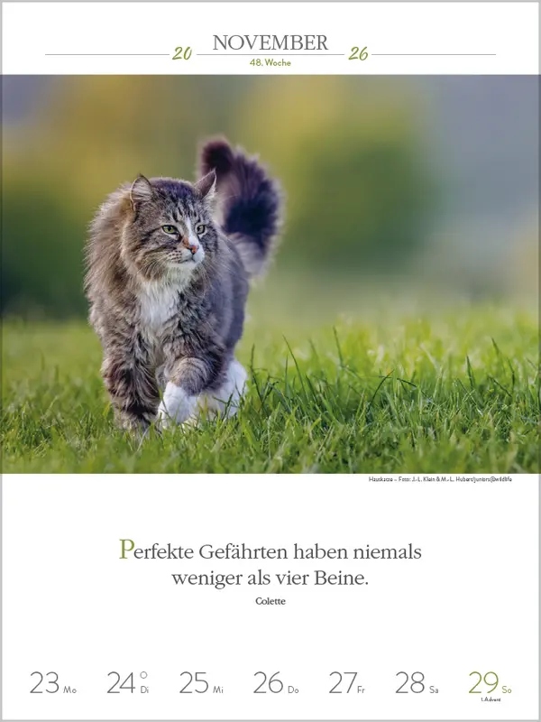 Bild: 9783731884354 | Literaturkalender Katzen 2026 | Verlag Korsch | Kalender | 54 S.