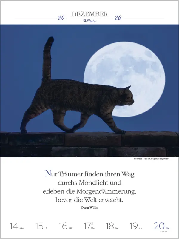 Bild: 9783731884354 | Literaturkalender Katzen 2026 | Verlag Korsch | Kalender | 54 S.