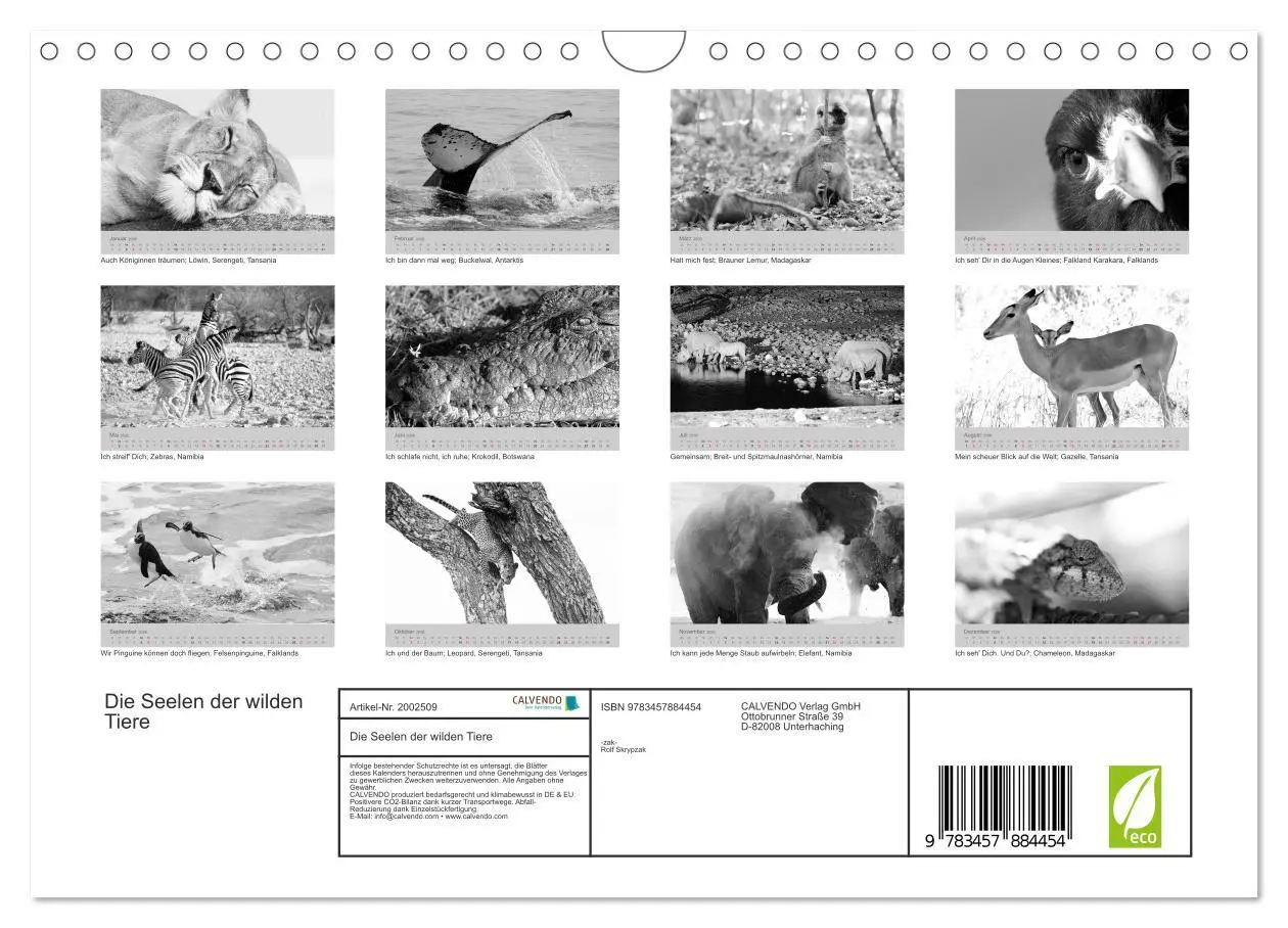 Bild: 9783457884454 | Die Seelen der wilden Tiere (Wandkalender 2026 DIN A4 quer),...