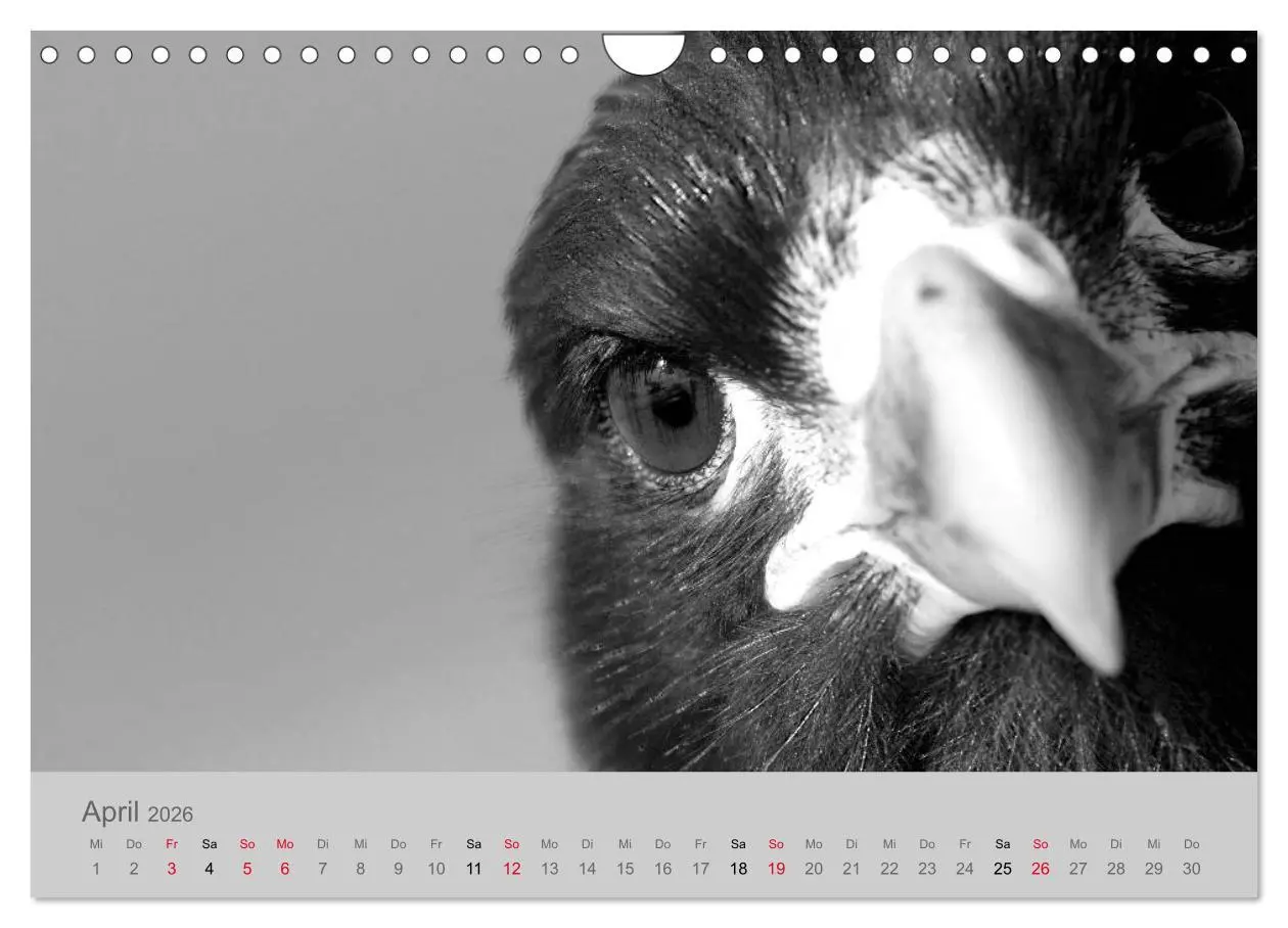 Bild: 9783457884454 | Die Seelen der wilden Tiere (Wandkalender 2026 DIN A4 quer),...