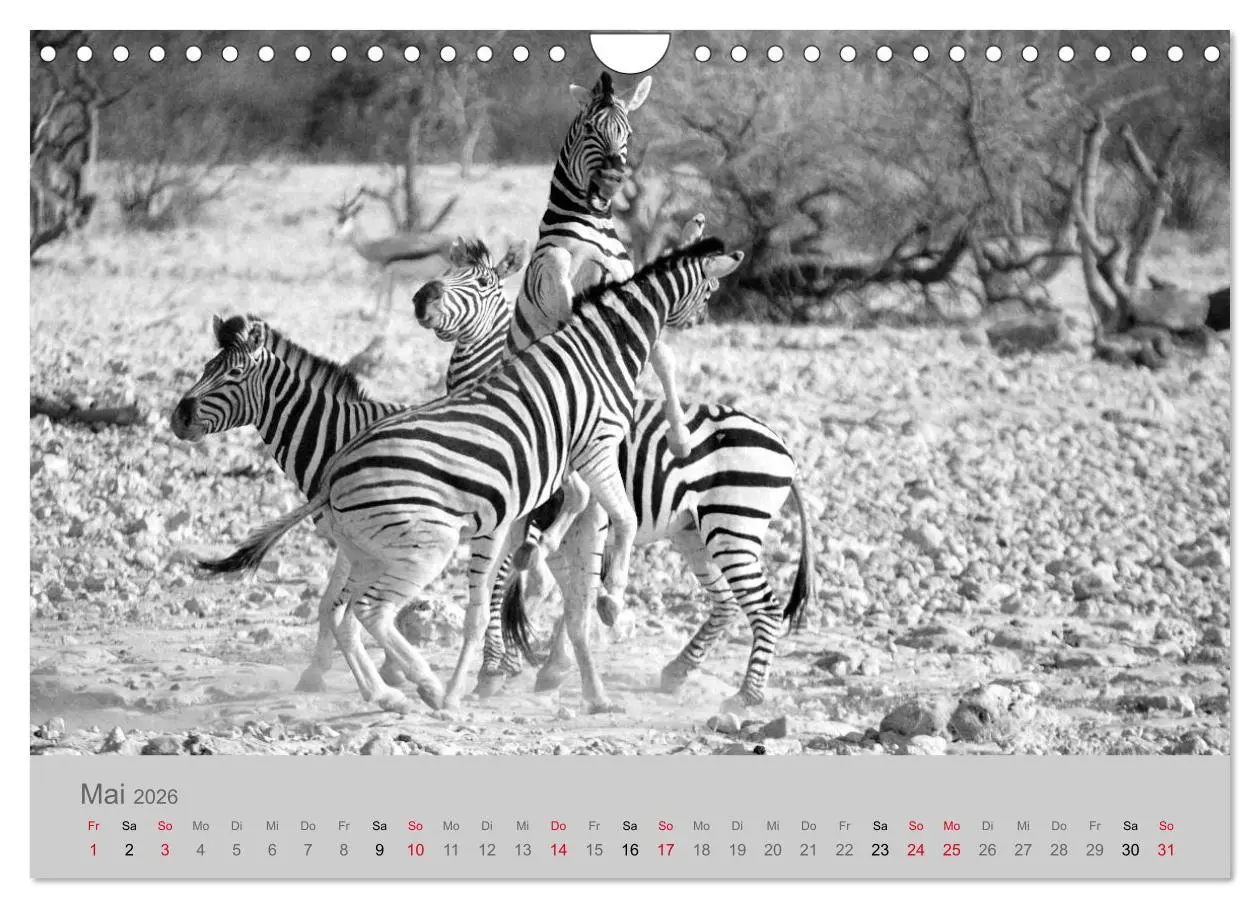 Bild: 9783457884454 | Die Seelen der wilden Tiere (Wandkalender 2026 DIN A4 quer),...