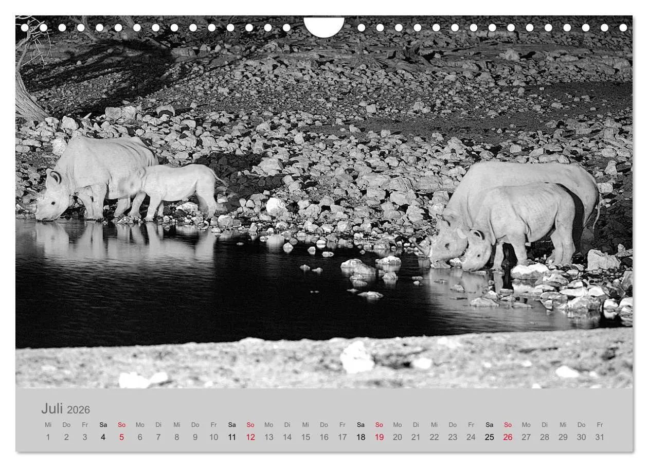 Bild: 9783457884454 | Die Seelen der wilden Tiere (Wandkalender 2026 DIN A4 quer),...
