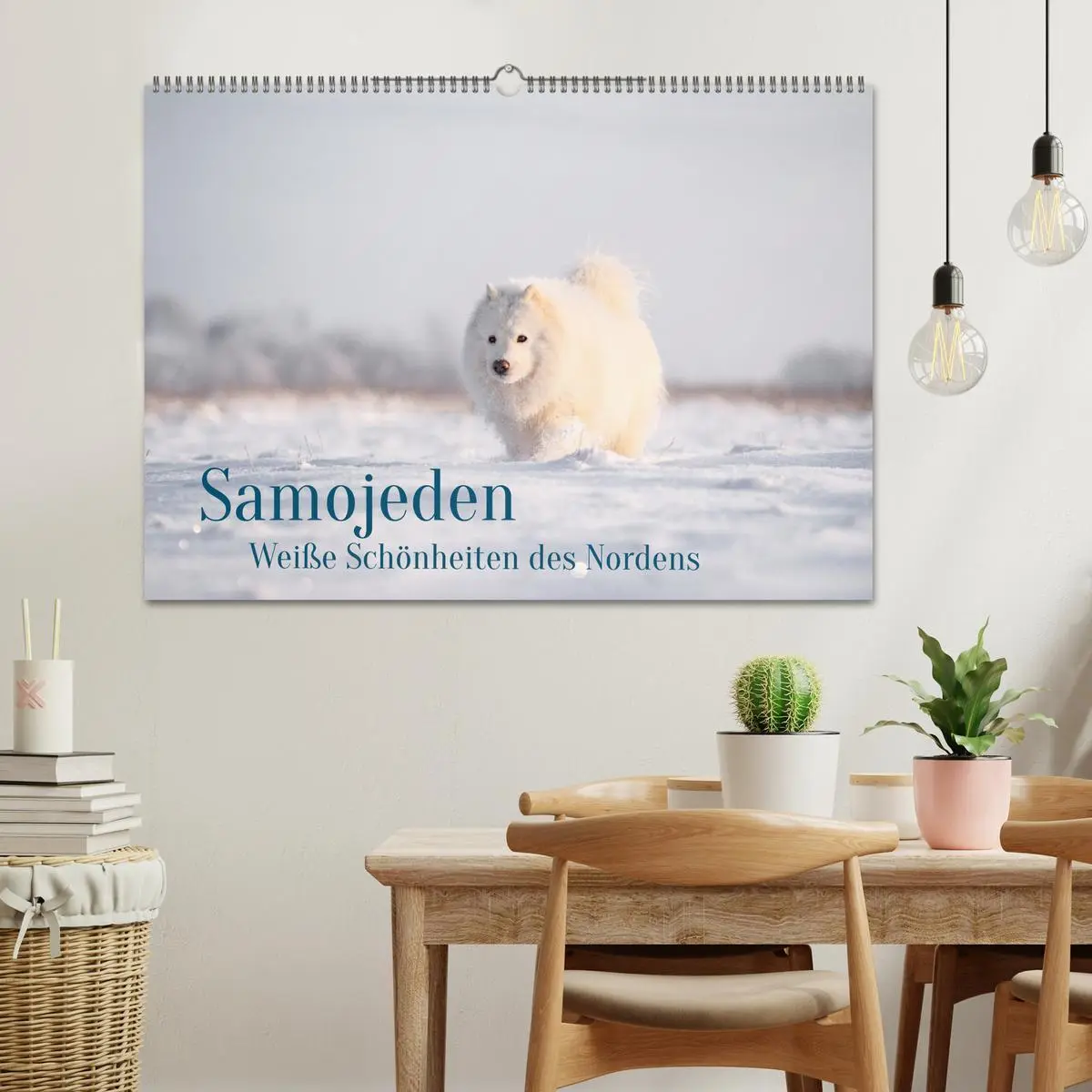 Bild: 9783457954454 | Samojeden - Liebenswerte Fellkugeln (Wandkalender 2026 DIN A2...