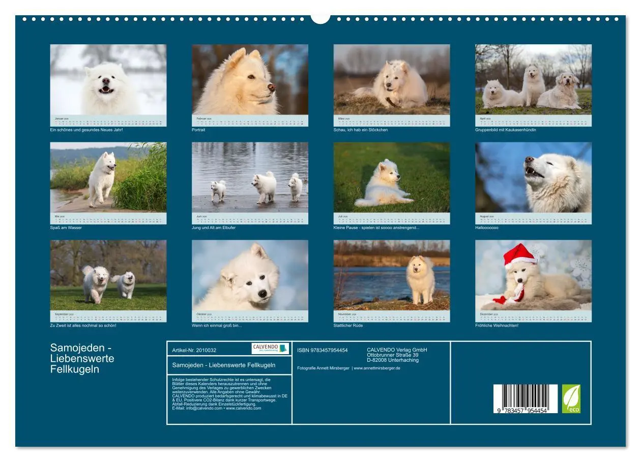 Bild: 9783457954454 | Samojeden - Liebenswerte Fellkugeln (Wandkalender 2026 DIN A2...