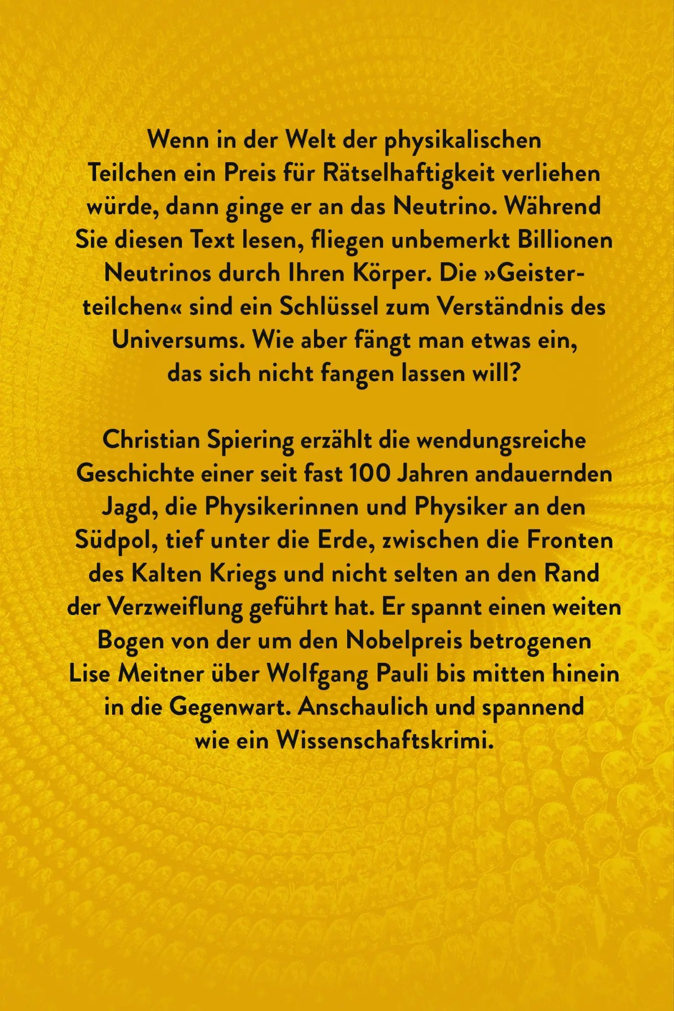 Bild: 9783446284654 | Das seltsamste Teilchen der Welt | Auf der Jagd nach dem Neutrino