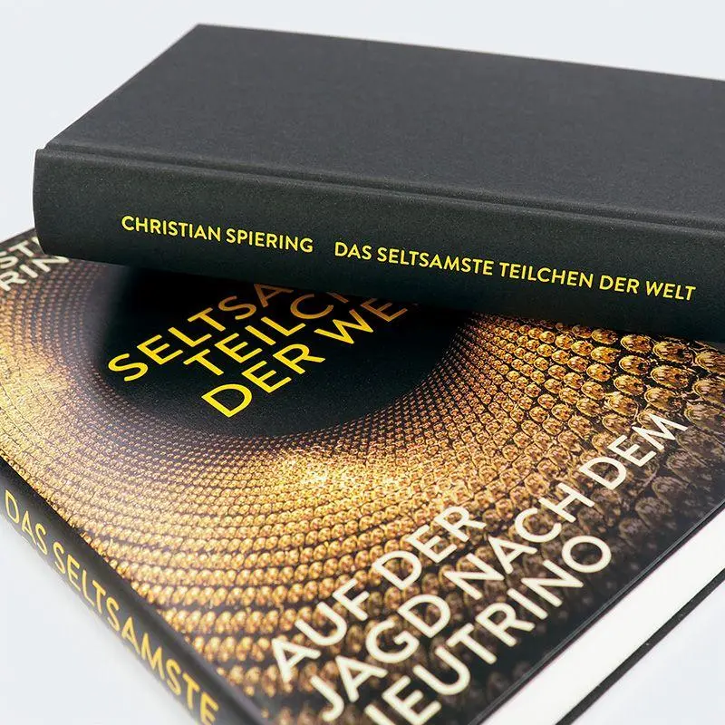 Bild: 9783446284654 | Das seltsamste Teilchen der Welt | Auf der Jagd nach dem Neutrino