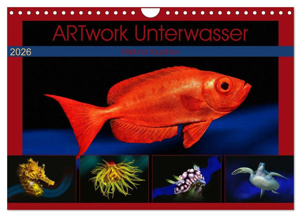 Cover: 9783457864654 | Artwork Unterwasser - Erlebnis Tauchen (Wandkalender 2026 DIN A4...