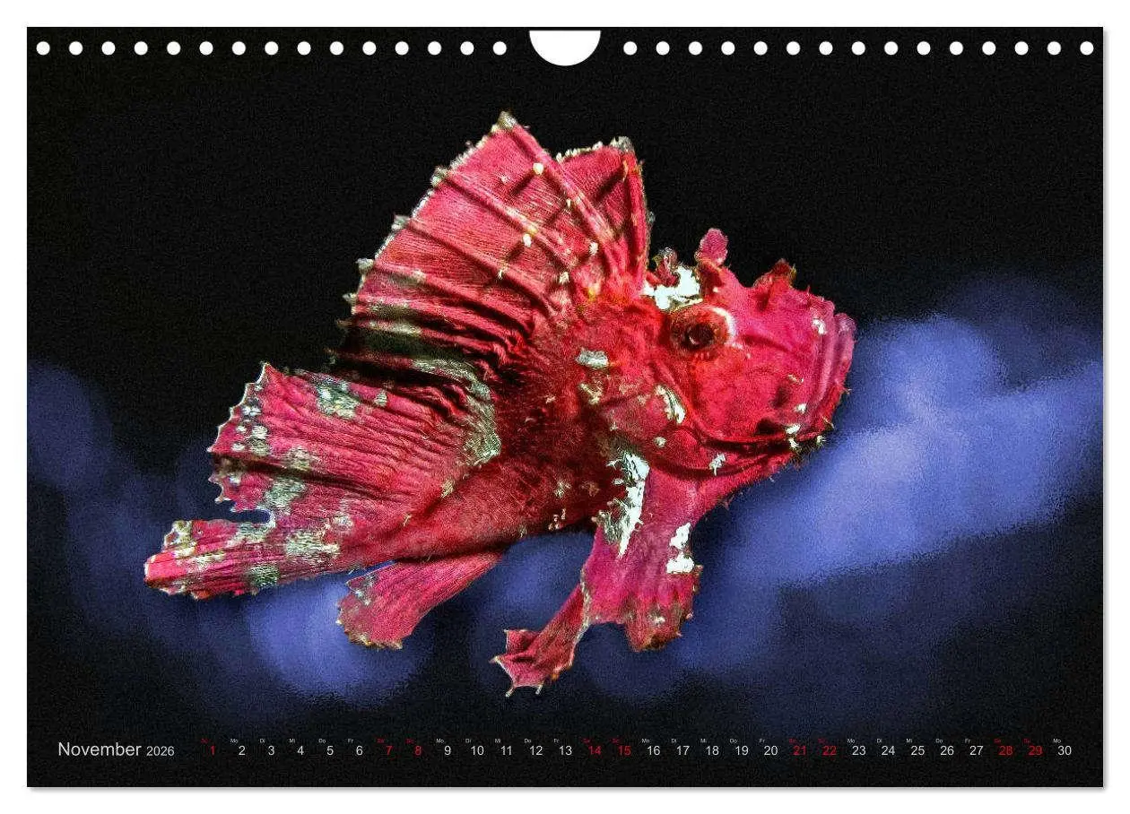 Bild: 9783457864654 | Artwork Unterwasser - Erlebnis Tauchen (Wandkalender 2026 DIN A4...