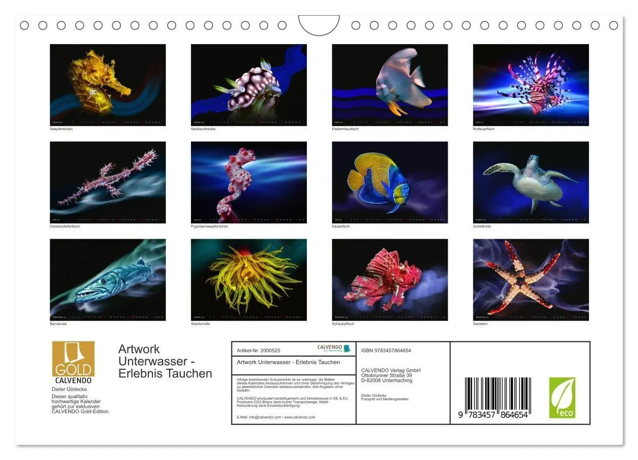 Bild: 9783457864654 | Artwork Unterwasser - Erlebnis Tauchen (Wandkalender 2026 DIN A4...