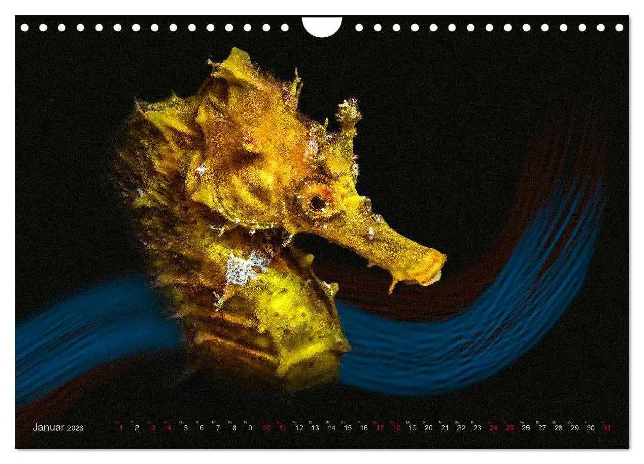 Bild: 9783457864654 | Artwork Unterwasser - Erlebnis Tauchen (Wandkalender 2026 DIN A4...