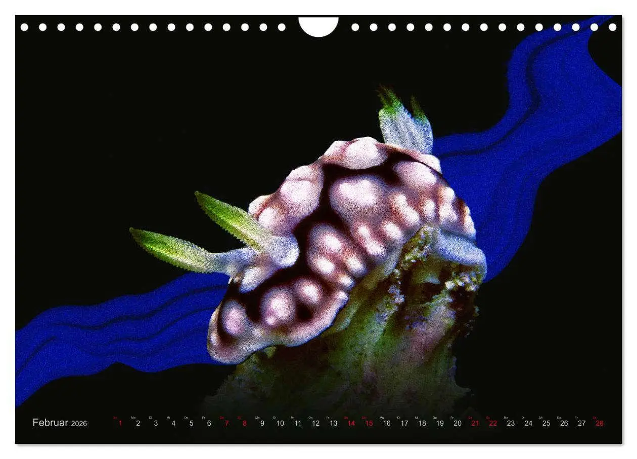 Bild: 9783457864654 | Artwork Unterwasser - Erlebnis Tauchen (Wandkalender 2026 DIN A4...