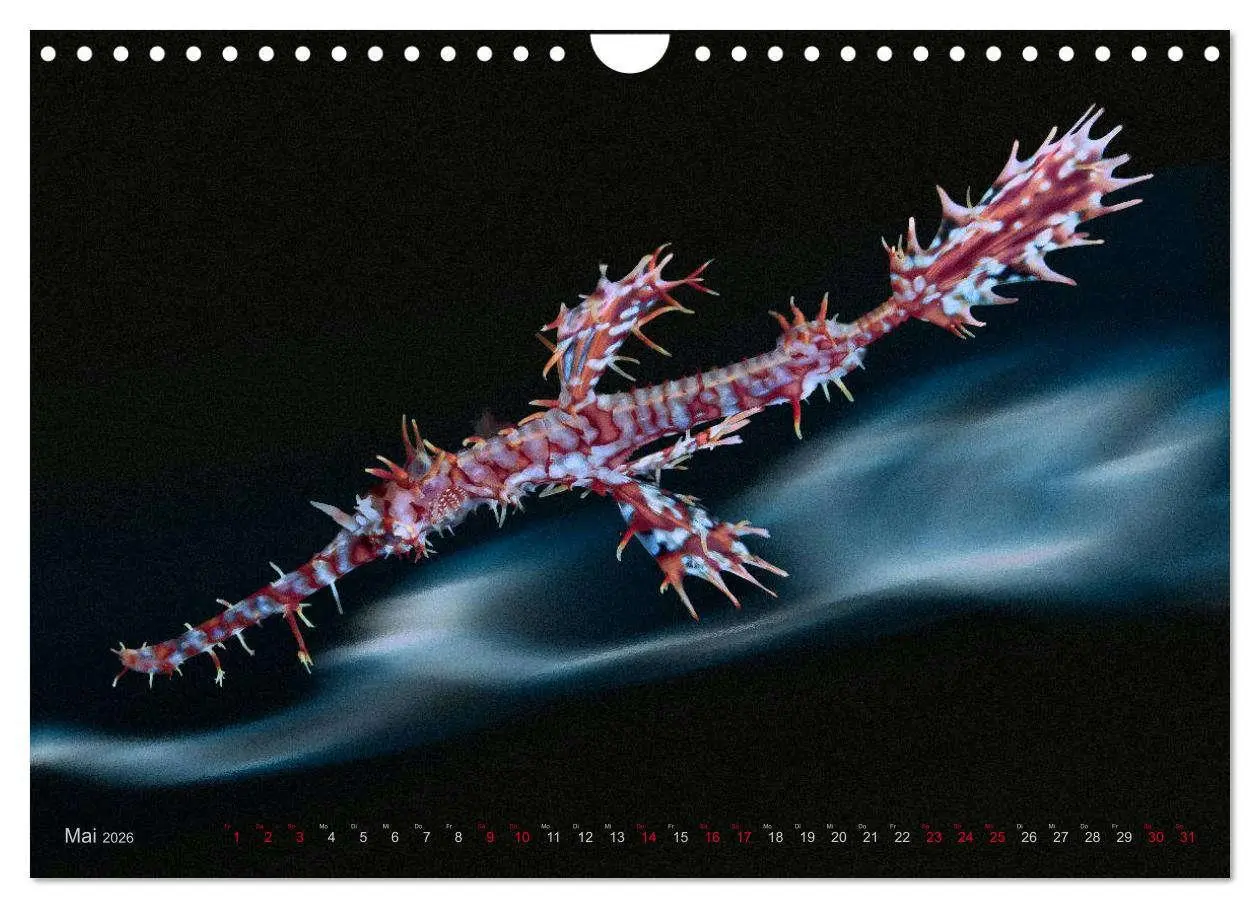 Bild: 9783457864654 | Artwork Unterwasser - Erlebnis Tauchen (Wandkalender 2026 DIN A4...