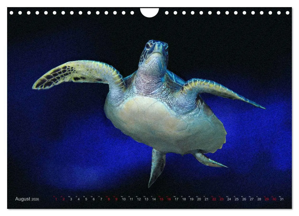 Bild: 9783457864654 | Artwork Unterwasser - Erlebnis Tauchen (Wandkalender 2026 DIN A4...