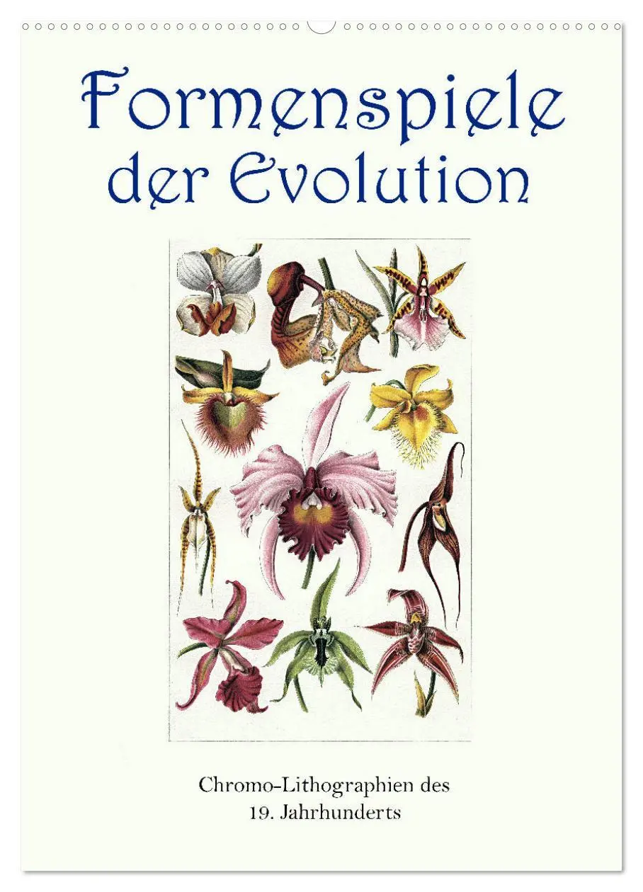 Cover: 9783516404654 | Formenspiele der Evolution. Chromolithographien des 19....