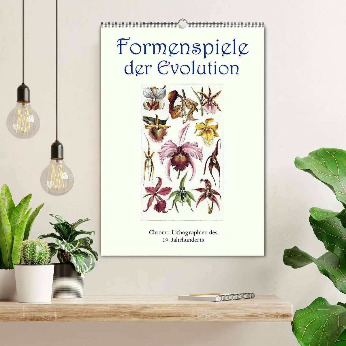 Bild: 9783516404654 | Formenspiele der Evolution. Chromolithographien des 19....
