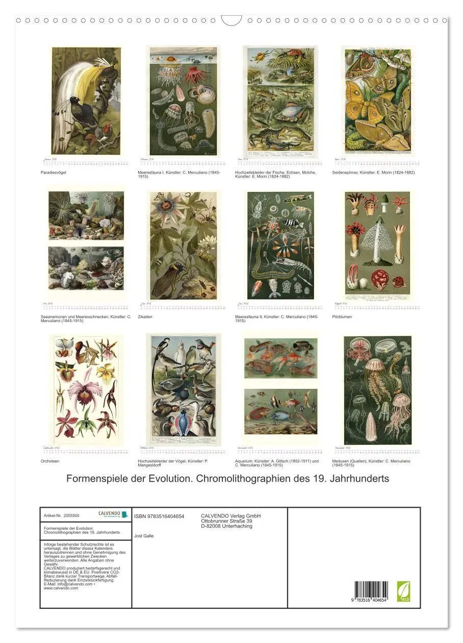 Bild: 9783516404654 | Formenspiele der Evolution. Chromolithographien des 19....