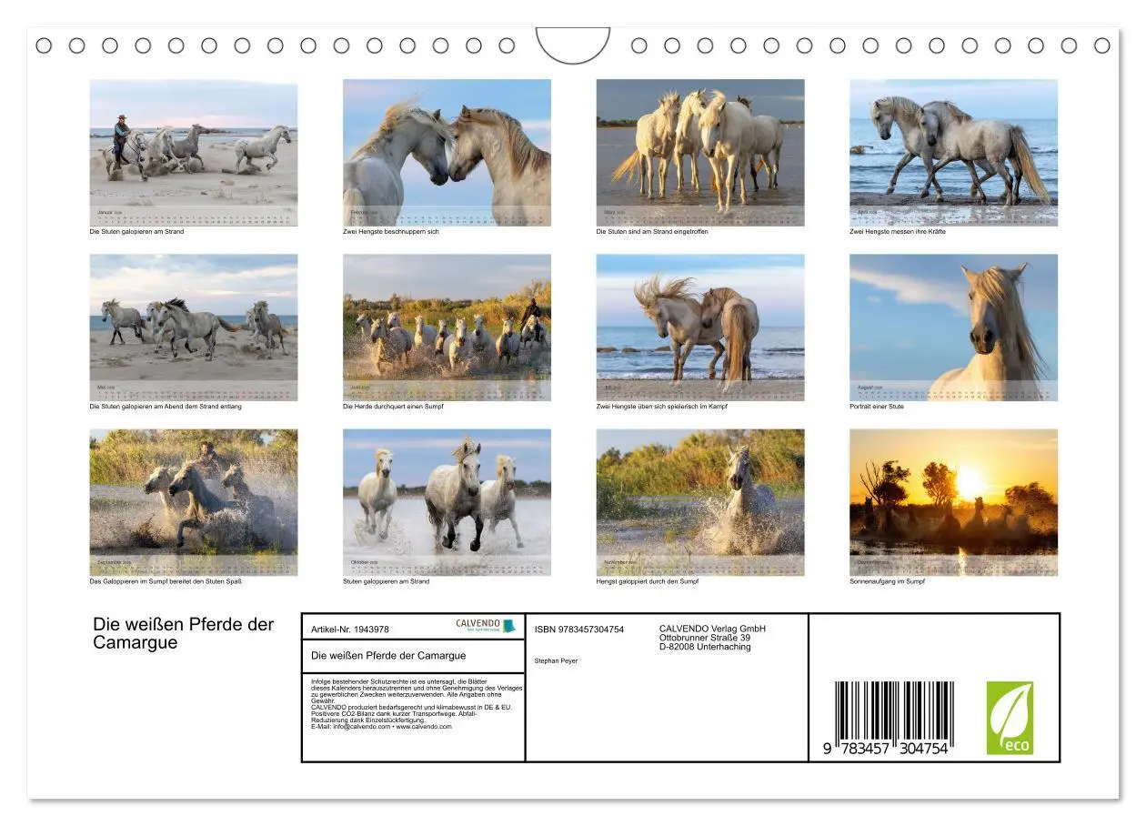 Bild: 9783457304754 | Die weißen Pferde der Camargue (Wandkalender 2026 DIN A4 quer),...