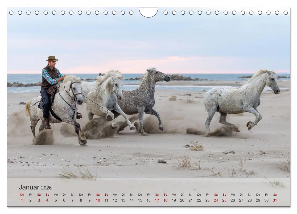 Bild: 9783457304754 | Die weißen Pferde der Camargue (Wandkalender 2026 DIN A4 quer),...