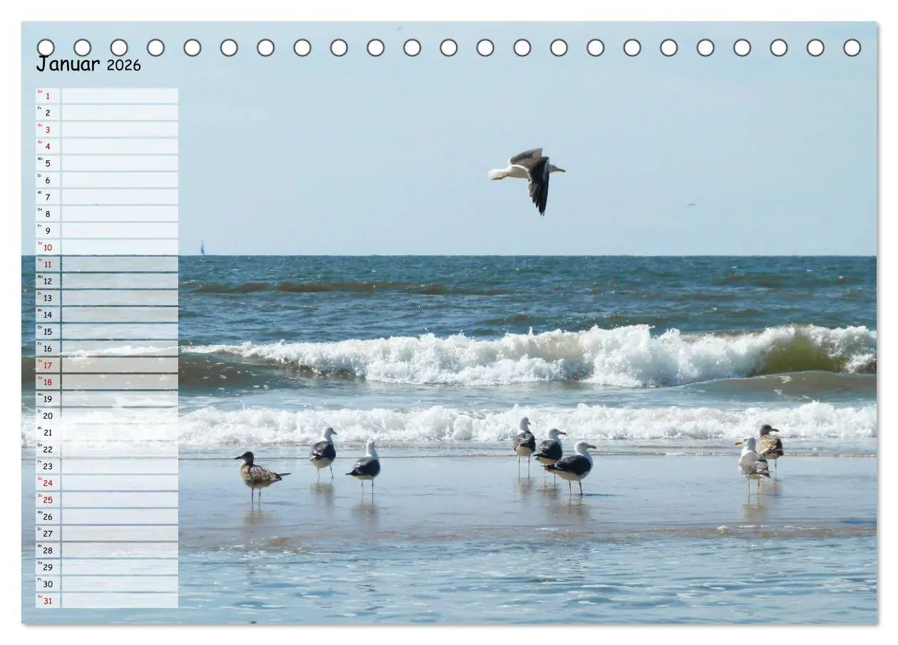 Bild: 9783457924754 | Egmond aan Zee (Tischkalender 2026 DIN A5 quer), CALVENDO...