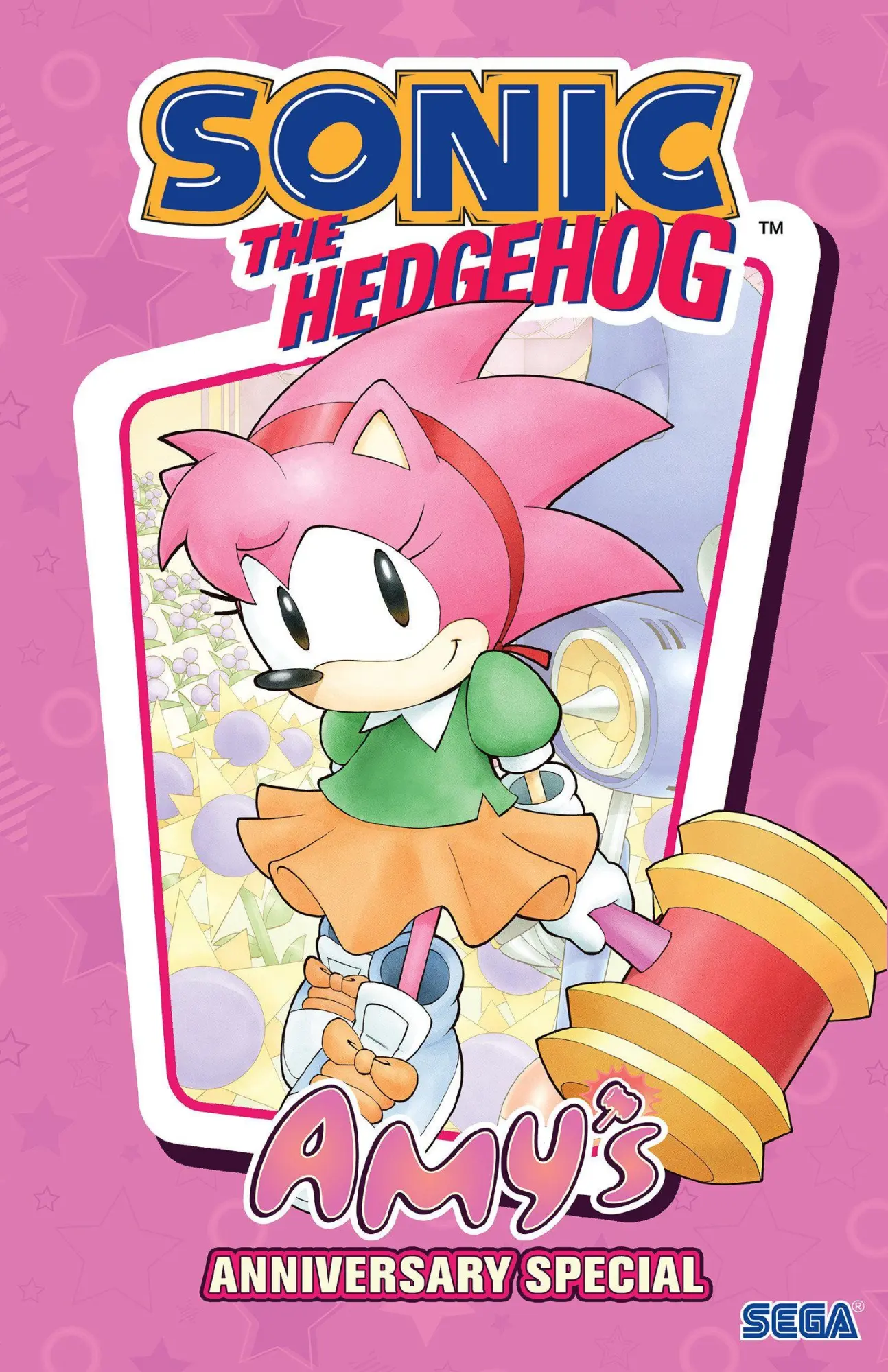 Cover: 9798887244754 | Sonic the Hedgehog: Amy's Anniversary Special | Ian Flynn | Buch