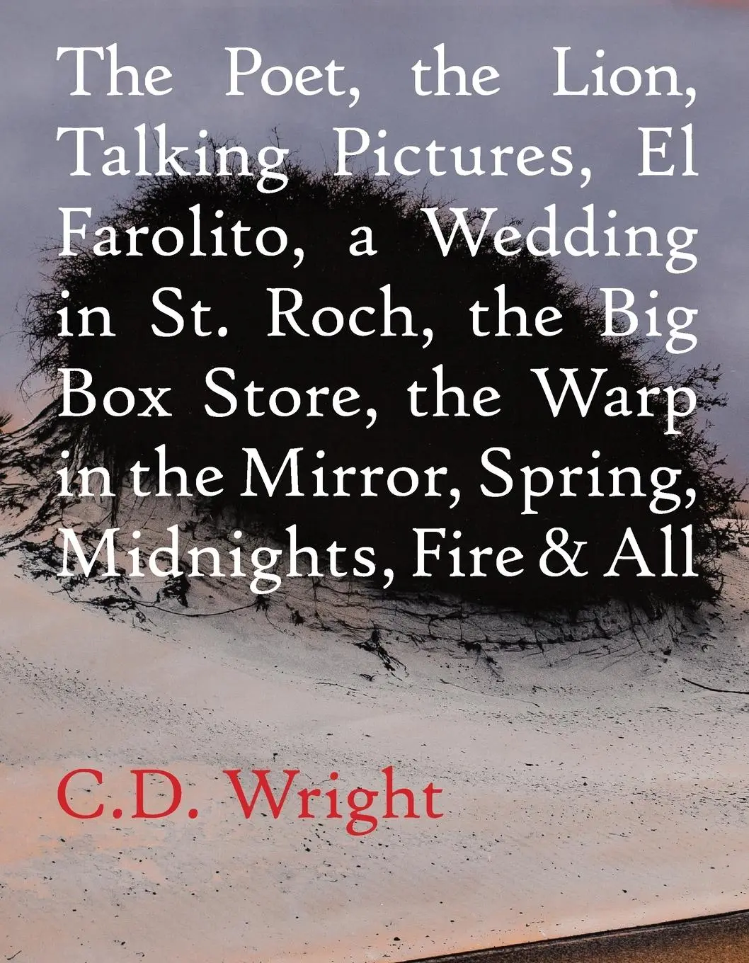 Cover: 9781556594854 | The Poet, the Lion, Talking Pictures, El Farolito, a Wedding in St....