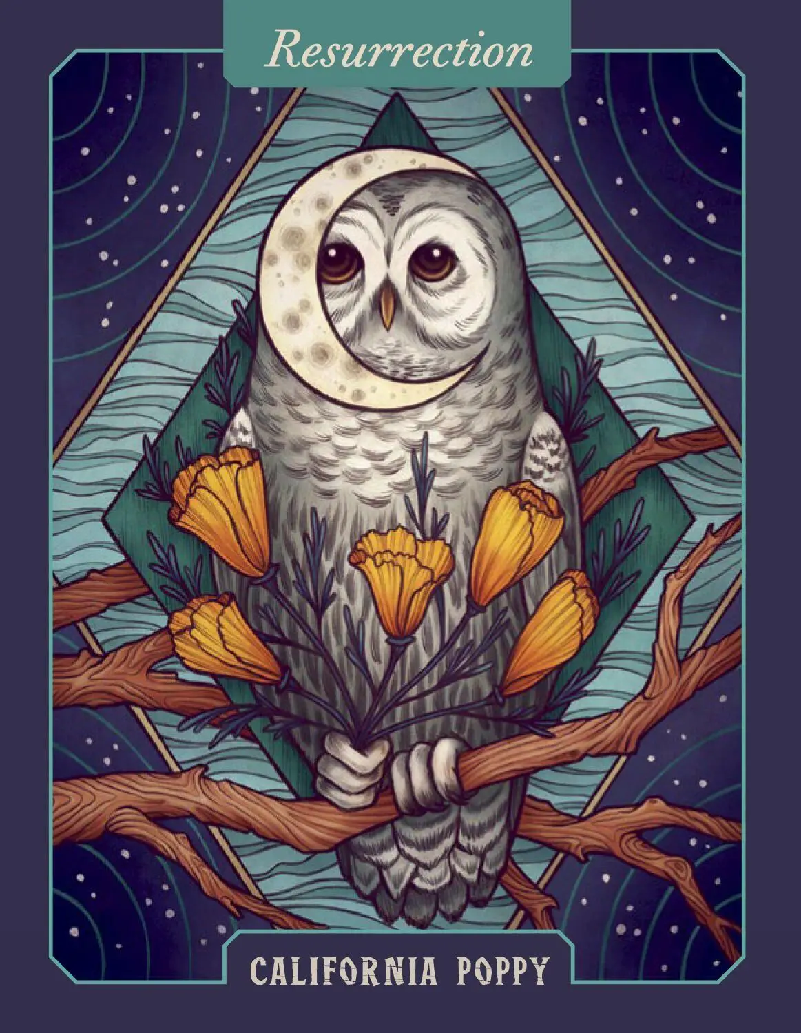 Bild: 9781635864854 | The Illustrated Herbiary Oracle Cards | Mata Toll | Wild Wisdom | 2021