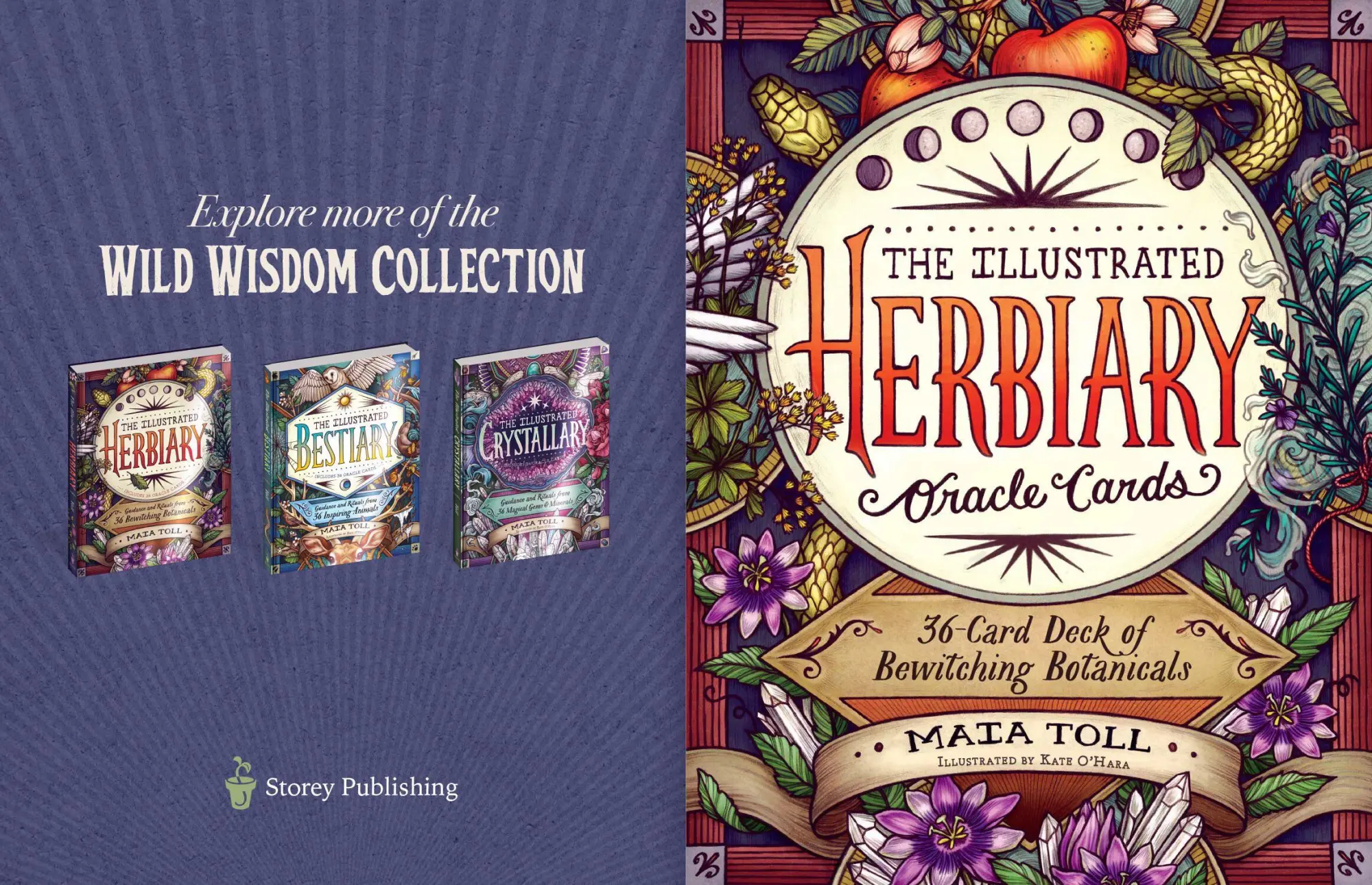 Bild: 9781635864854 | The Illustrated Herbiary Oracle Cards | Mata Toll | Wild Wisdom | 2021