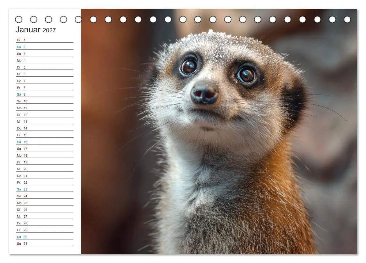 Bild: 9783516794854 | Die Welt der Erdmännchen (Tischkalender 2027 DIN A5 quer), CALVENDO...