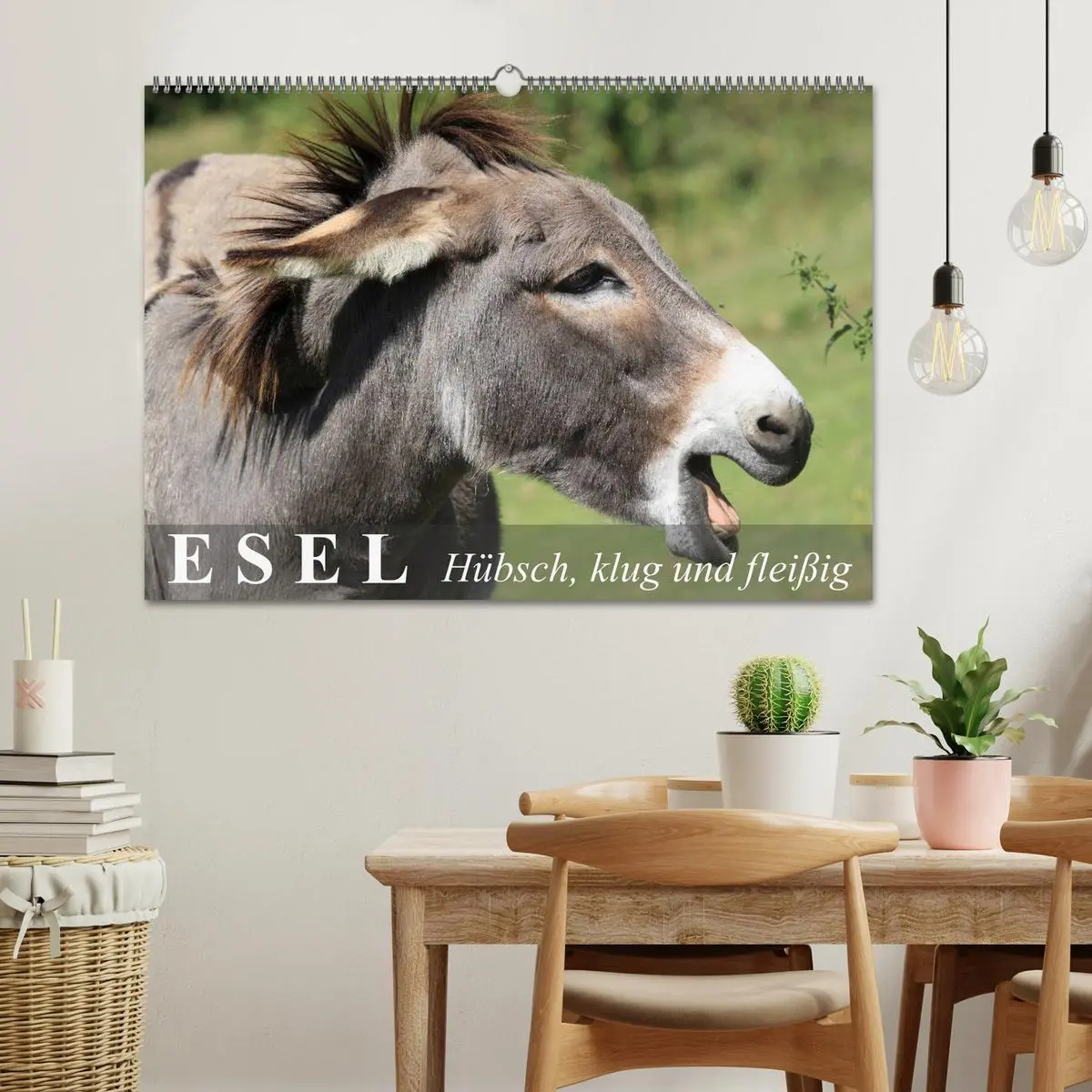 Bild: 9783516094954 | Esel - hübsch, klug und fleißig (Wandkalender 2026 DIN A2 quer),...