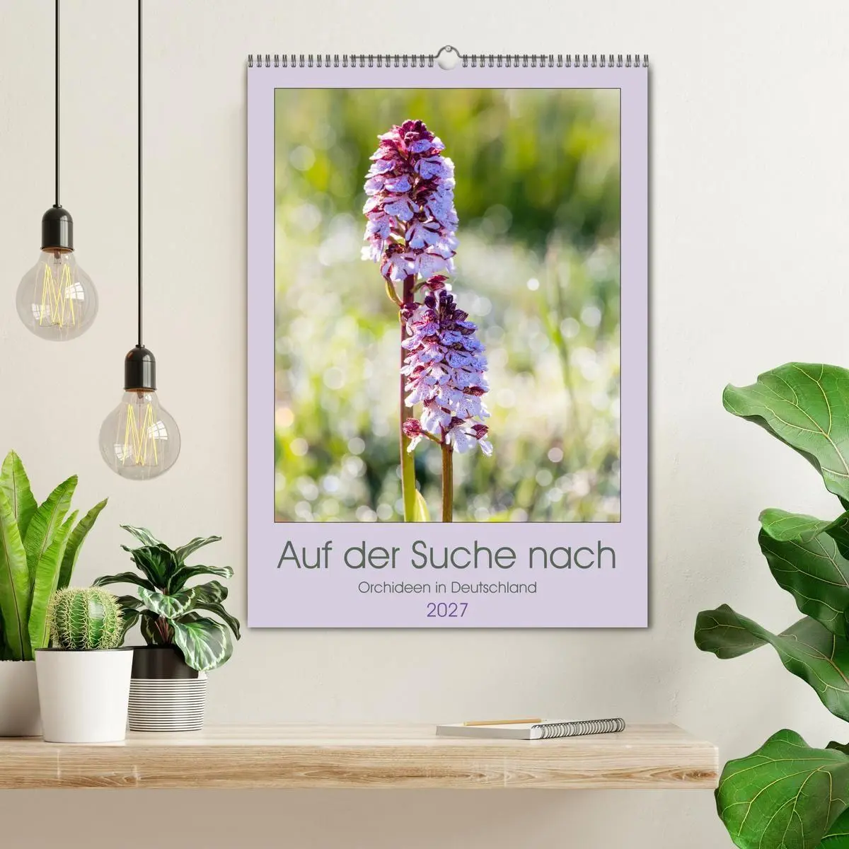 Bild: 9783569564954 | Auf der Suche nach Orchideen in Deutschland (Wandkalender 2027 DIN...
