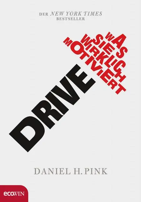 Cover: 9783902404954 | Drive | Was Sie wirklich motiviert | Daniel H. Pink | Buch | 282 S.