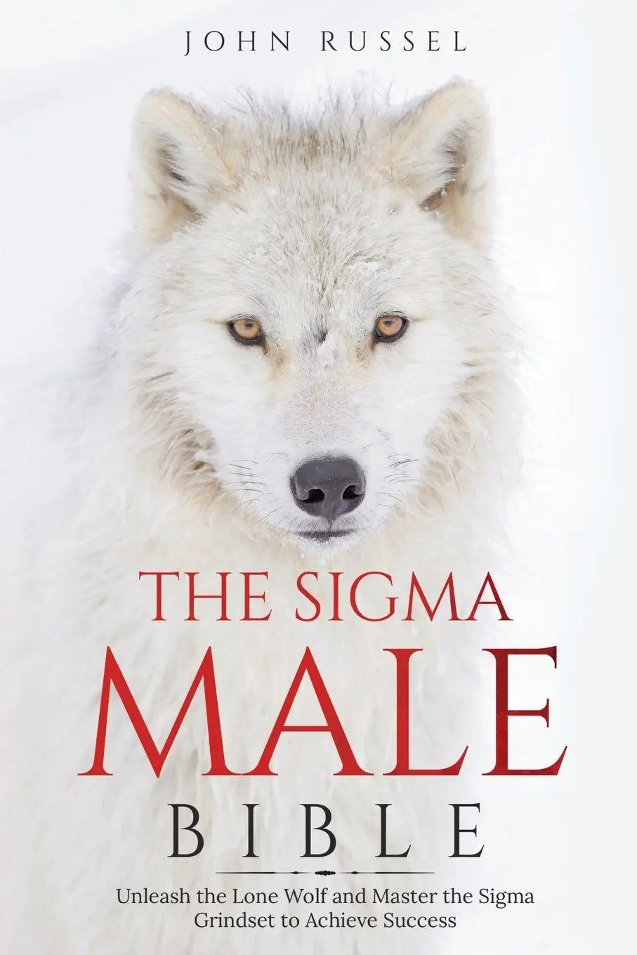 Cover: 9781069225054 | Sigma Male Bible | John Russel | Taschenbuch | Englisch | 2024