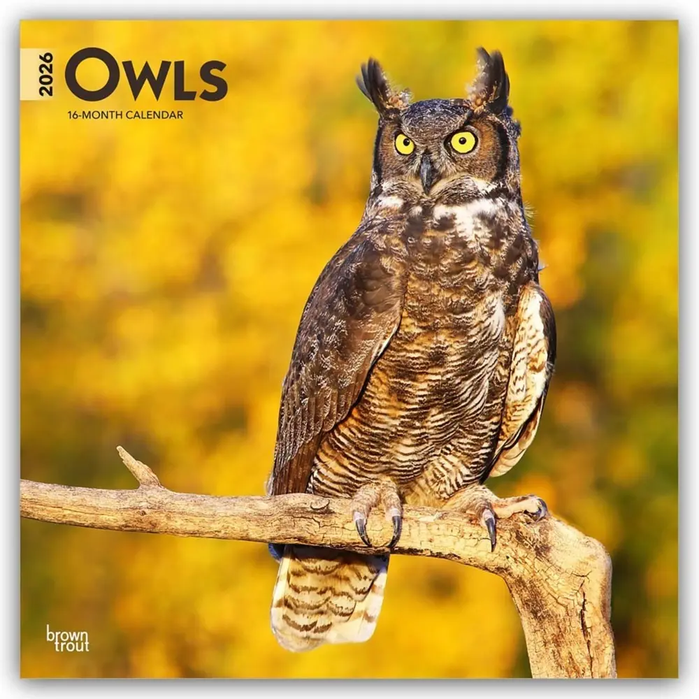 Cover: 9798330705054 | Owls 2026 12 X 24 Inch (Hanging) Monthly Square Wall Calendar...