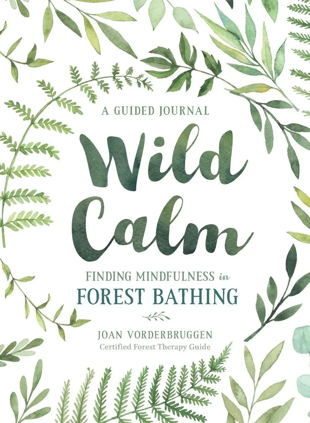 Cover: 9781250215154 | Wild Calm | Joan Vorderbruggen | Taschenbuch | Kartoniert / Broschiert