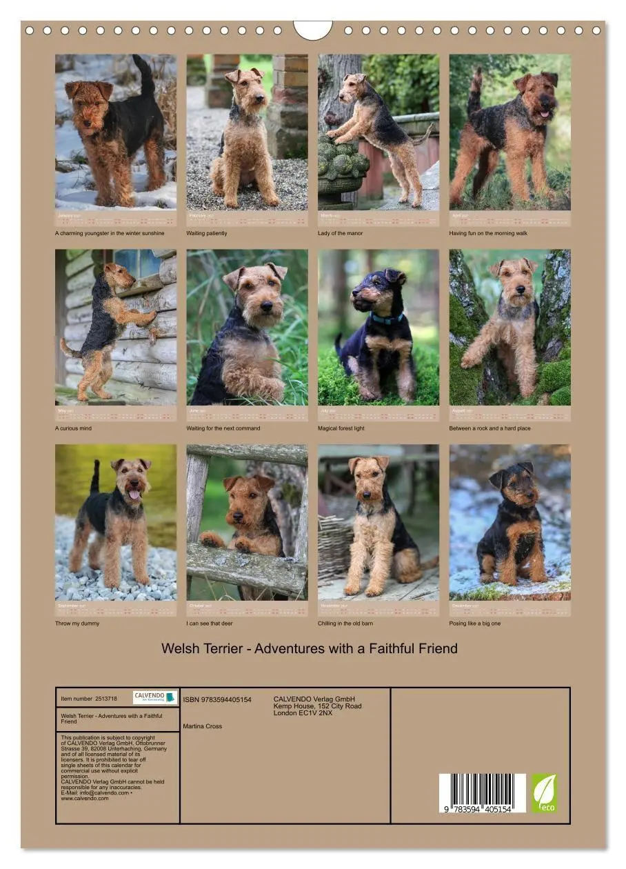 Bild: 9783594405154 | Welsh Terrier - Adventures with a Faithful Friend (Wall Calendar...