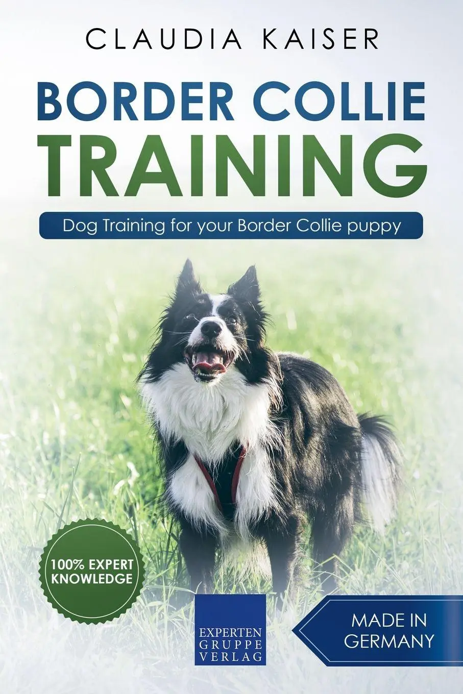 Cover: 9781393545354 | Border Collie Training - Dog Training for your Border Collie puppy
