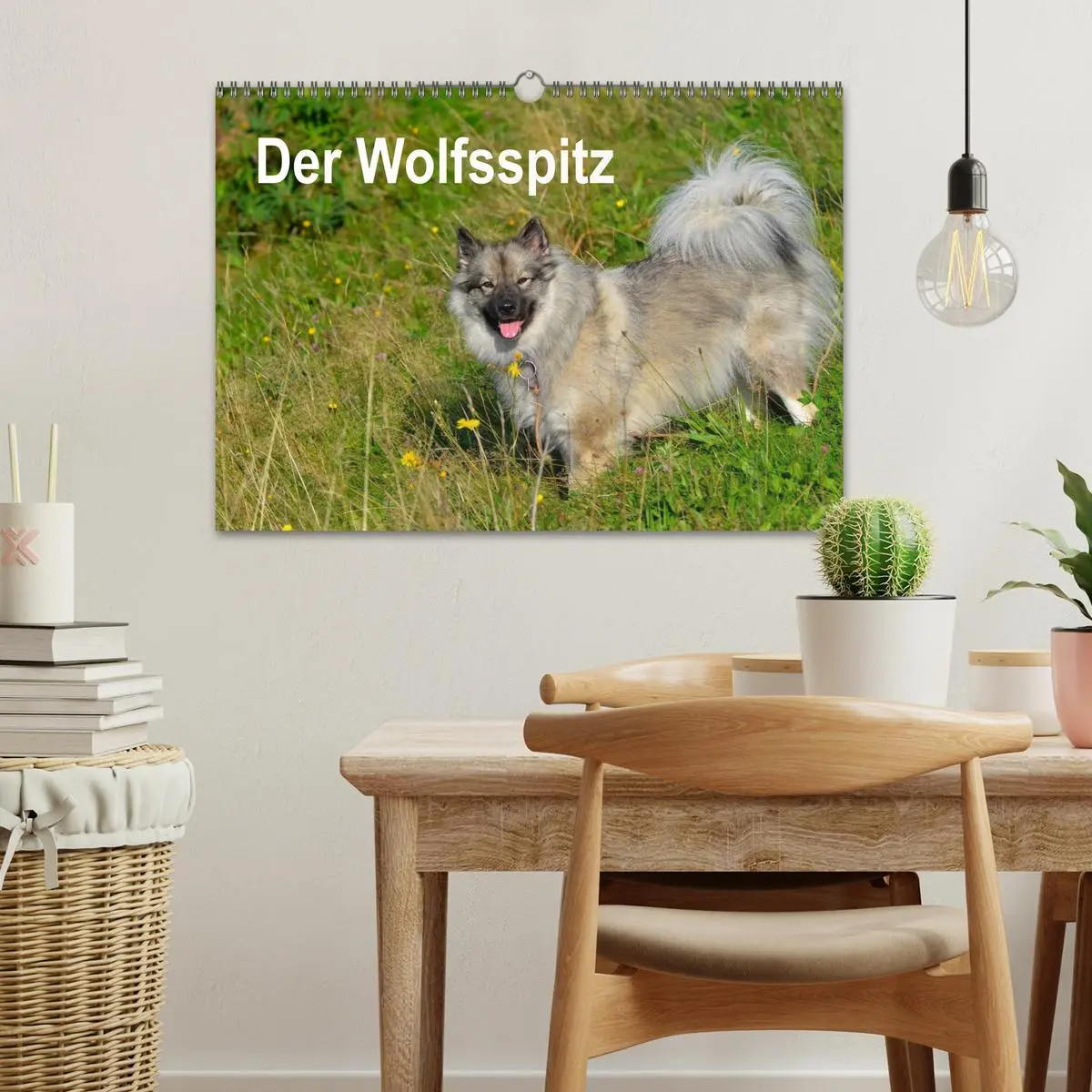 Bild: 9783516195354 | Der Wolfsspitz (Wandkalender 2026 DIN A3 quer), CALVENDO...