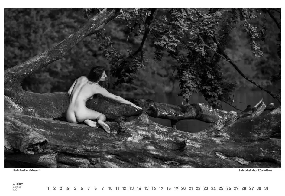 Bild: 9783861925354 | BodenseeAKT. Ein immerwährender Kalender | Fotokunst. | Thomas Bichler