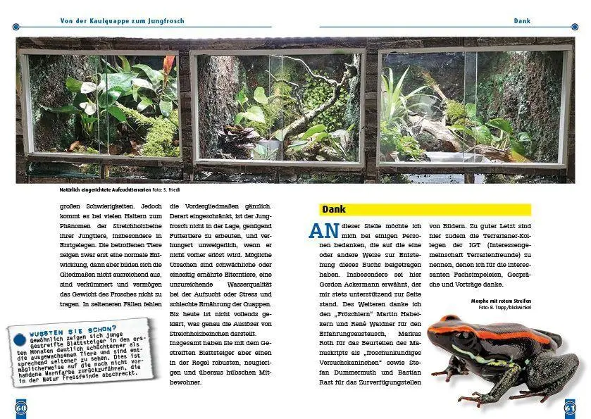 Bild: 9783866595354 | Der Gestreifte Blattsteiger | Phyllobates vittatus | Sarah Friedli