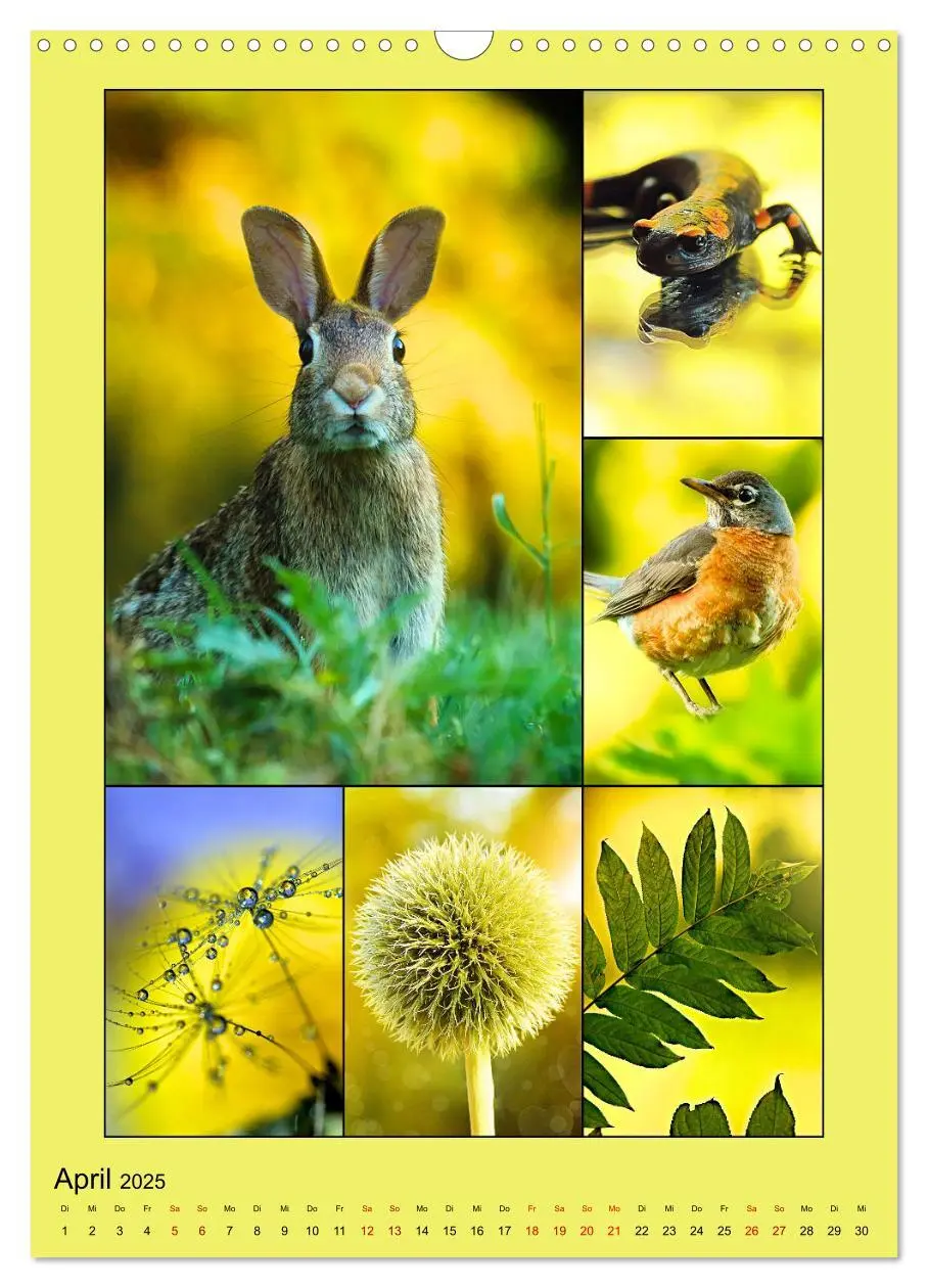 Bild: 9783435905454 | Farbsymphonien der Natur (Wandkalender 2025 DIN A3 hoch), CALVENDO...