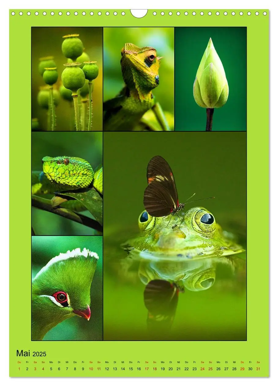 Bild: 9783435905454 | Farbsymphonien der Natur (Wandkalender 2025 DIN A3 hoch), CALVENDO...