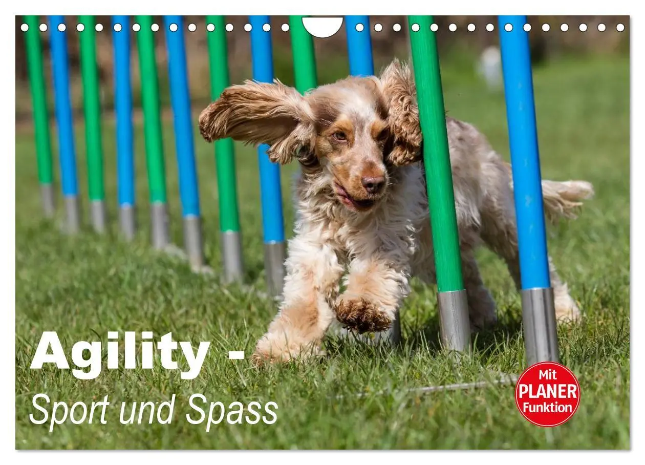Cover: 9783516015454 | Agility - Sport und Spass (Wandkalender 2026 DIN A4 quer), CALVENDO...