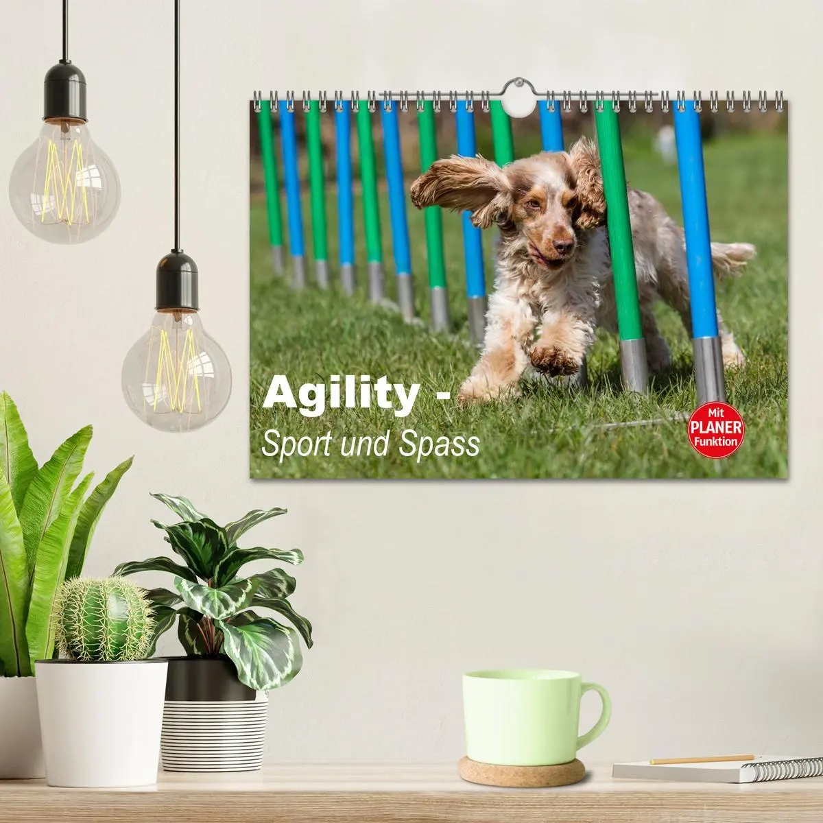 Bild: 9783516015454 | Agility - Sport und Spass (Wandkalender 2026 DIN A4 quer), CALVENDO...