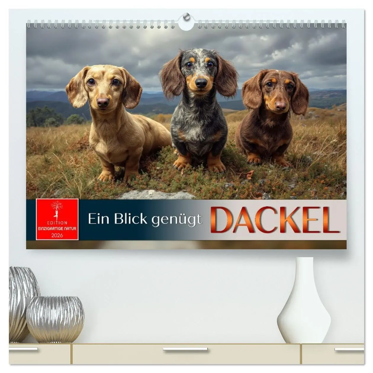 Cover: 9783516635454 | Dackel - ein Blick genügt (hochwertiger Premium Wandkalender 2026...