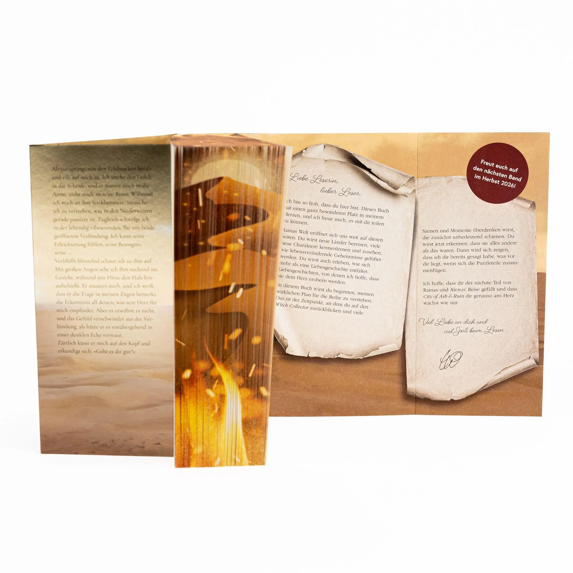Bild: 9783745705454 | City of Ash and Ruin | Charissa Weaks | Taschenbuch | Witch Walker