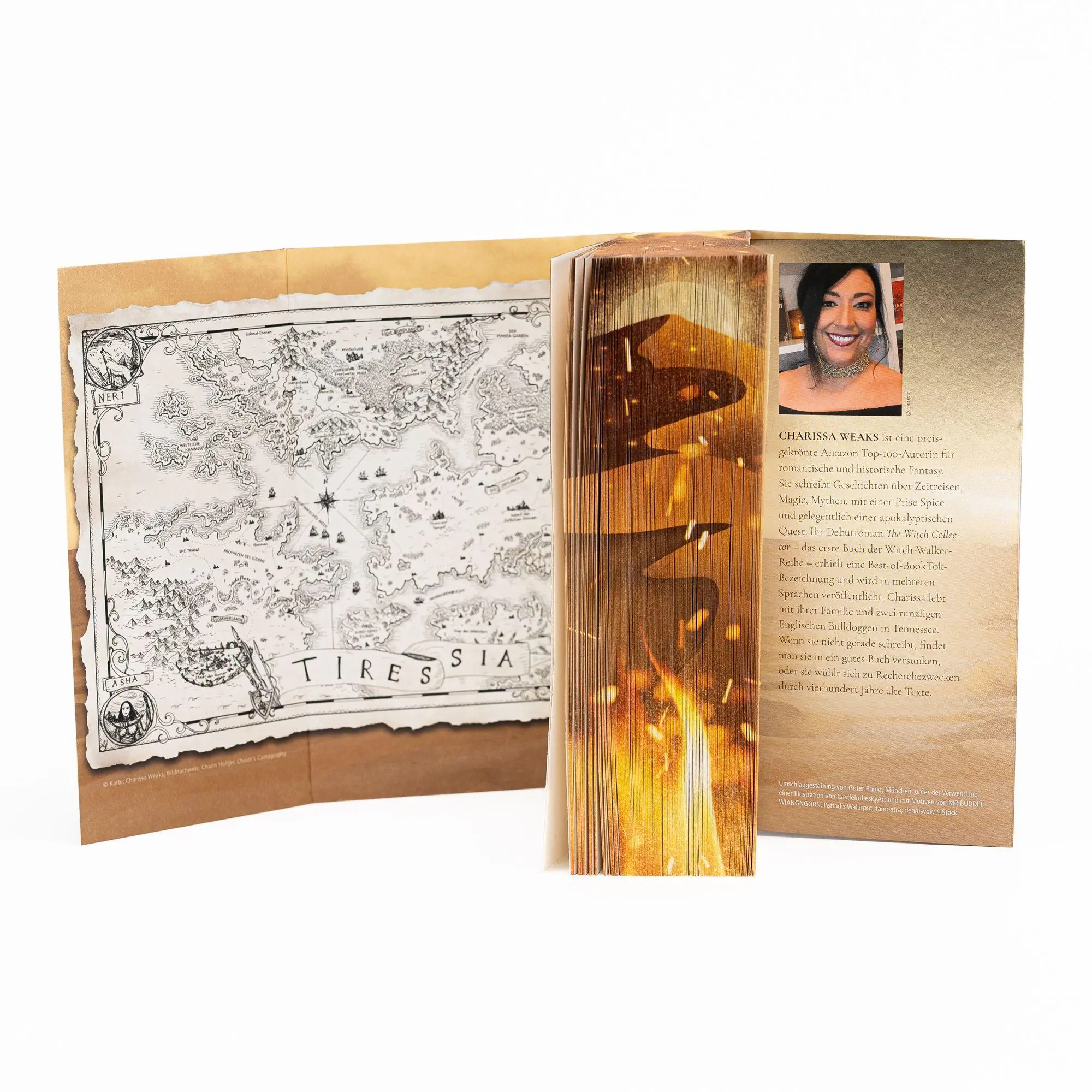 Bild: 9783745705454 | City of Ash and Ruin | Charissa Weaks | Taschenbuch | Witch Walker