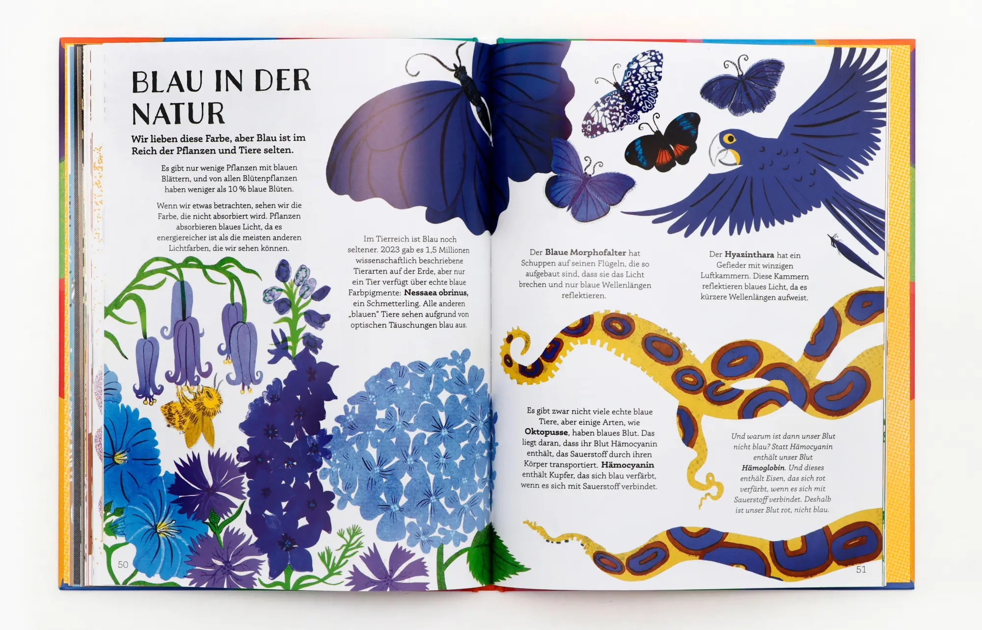 Bild: 9783962445454 | Kaleidoskop | Entdecke die Welt der Farben | Laura Mucha | Buch | 2026